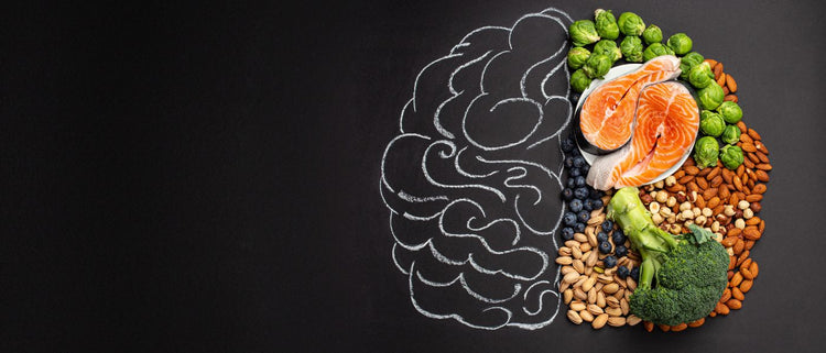 Blog of Best Foods for Brain Health: Support Memory, Concentration, & Anti-Aging which have image brain illustration and food